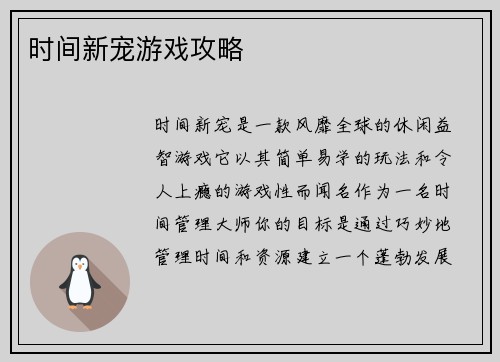 时间新宠游戏攻略
